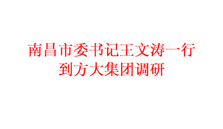 为推进项目建设 加快产业发展南昌市委书记王文涛一行到Z6·尊龙凯时集团调研